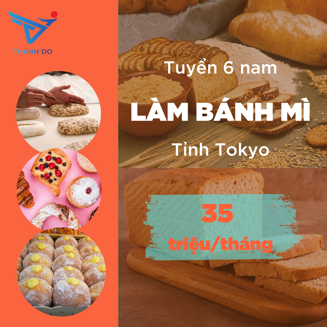 TUYÊN DỤNG 6F NAM ĐƠN HÀNG CHẾ BIẾN THỰC PHẨM LÀM BÁNH MÌ